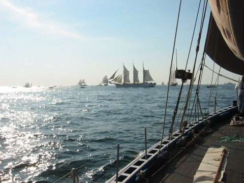 Tall Ships Races 2026: Cruise in Company