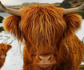 Ed Private Tours