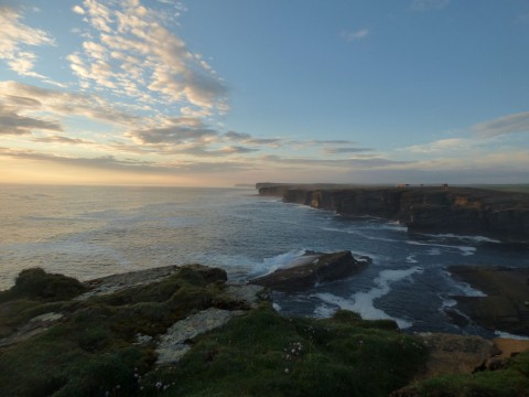 Evening Wildlife Walks
