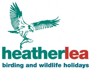 Heatherlea Birdwatching Holidays