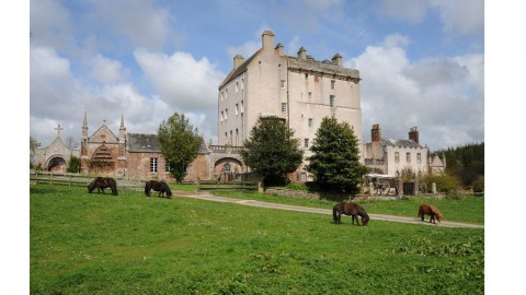 Wagglehill & Delgatie Castle - Highland Coos, Heritage...