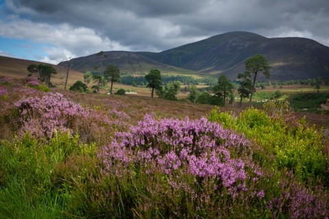 Deluxe Edinburgh and Royal Deeside