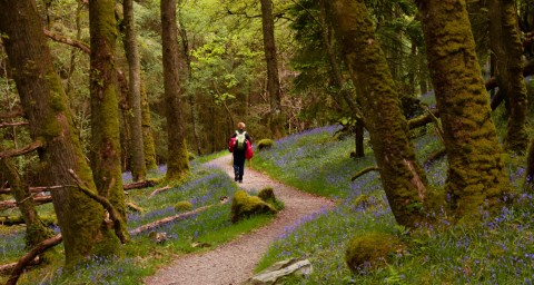 Walking the West Highland Way: Milngavie to Inverarnan...