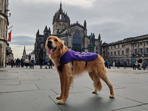 Makars' Court to St Giles' Cathedral: Edinburgh Storyte...