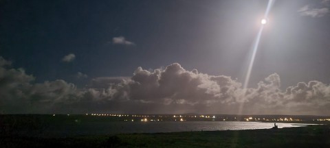 Star Tour Edinburgh: An interactive evening tour of the...