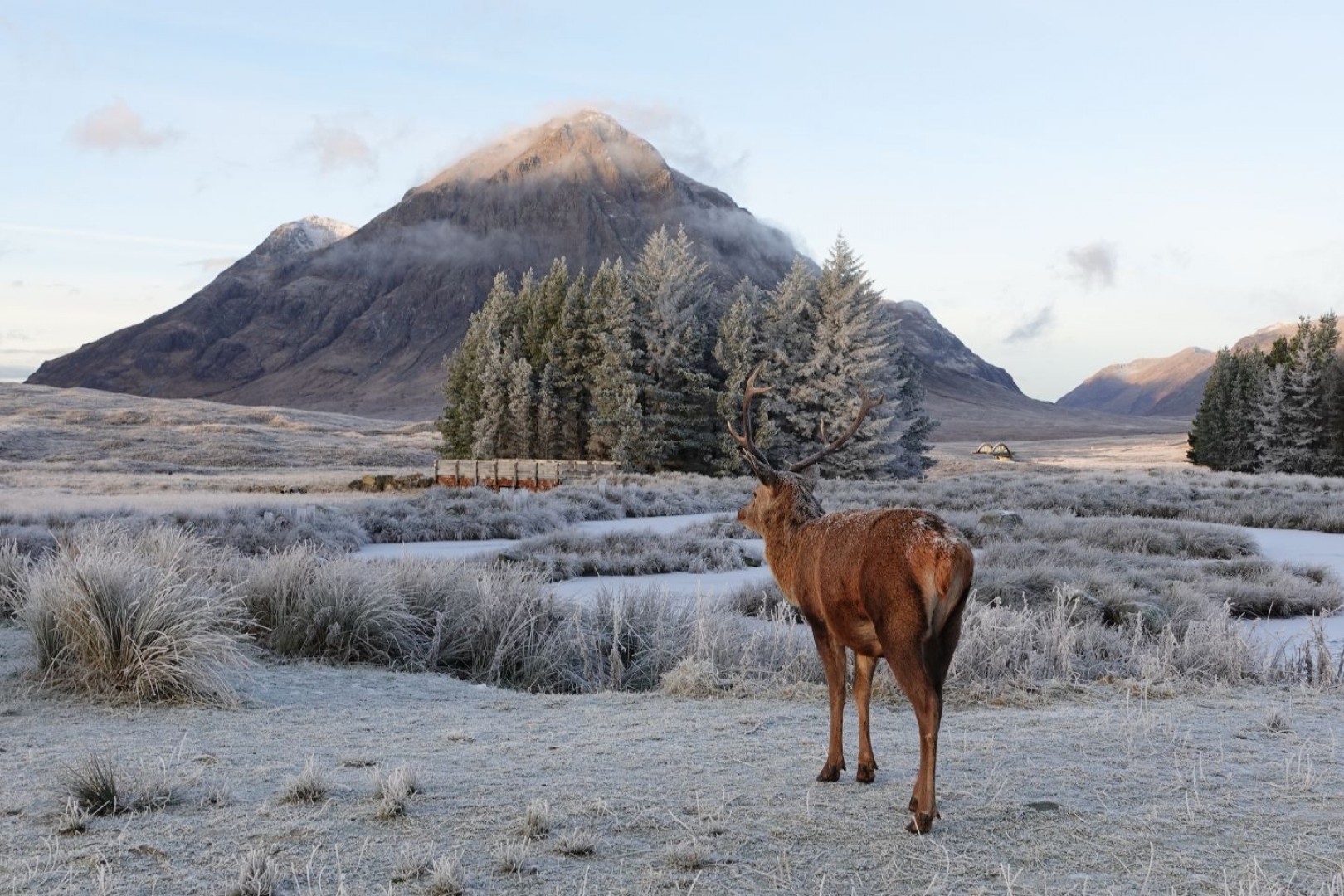 VisitScotland - Scotland