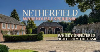 THE NETHERFIELD