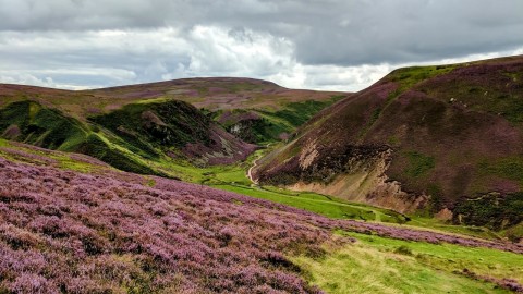 Private Pentland Hills Guided Walk