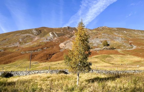 Southern Highlands Tour