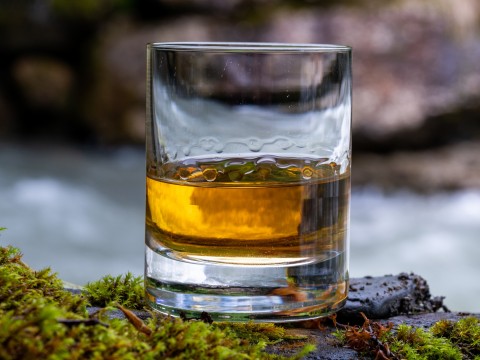 Invergordon Shore Excursion - Discover Highland Whisky...