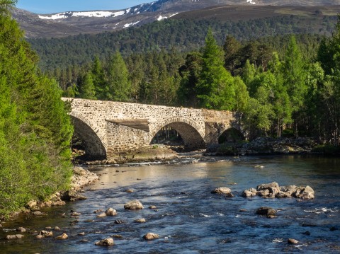 Aberdeen Shore Excursion - Private Tour