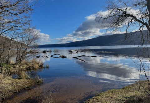 Loch Ness & Glen Affric - Day Tour from Inverness