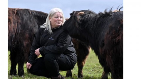 Wagglehill & Portsoy - Highland Cows & Coastal Craft To...